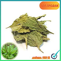 Подорожник листя 2025р. (500г)