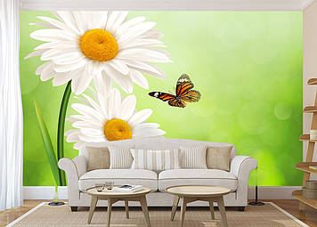 Фото Шпалери "Ромашки і метелик" - Будь-який розмір! Читаємо опис!
