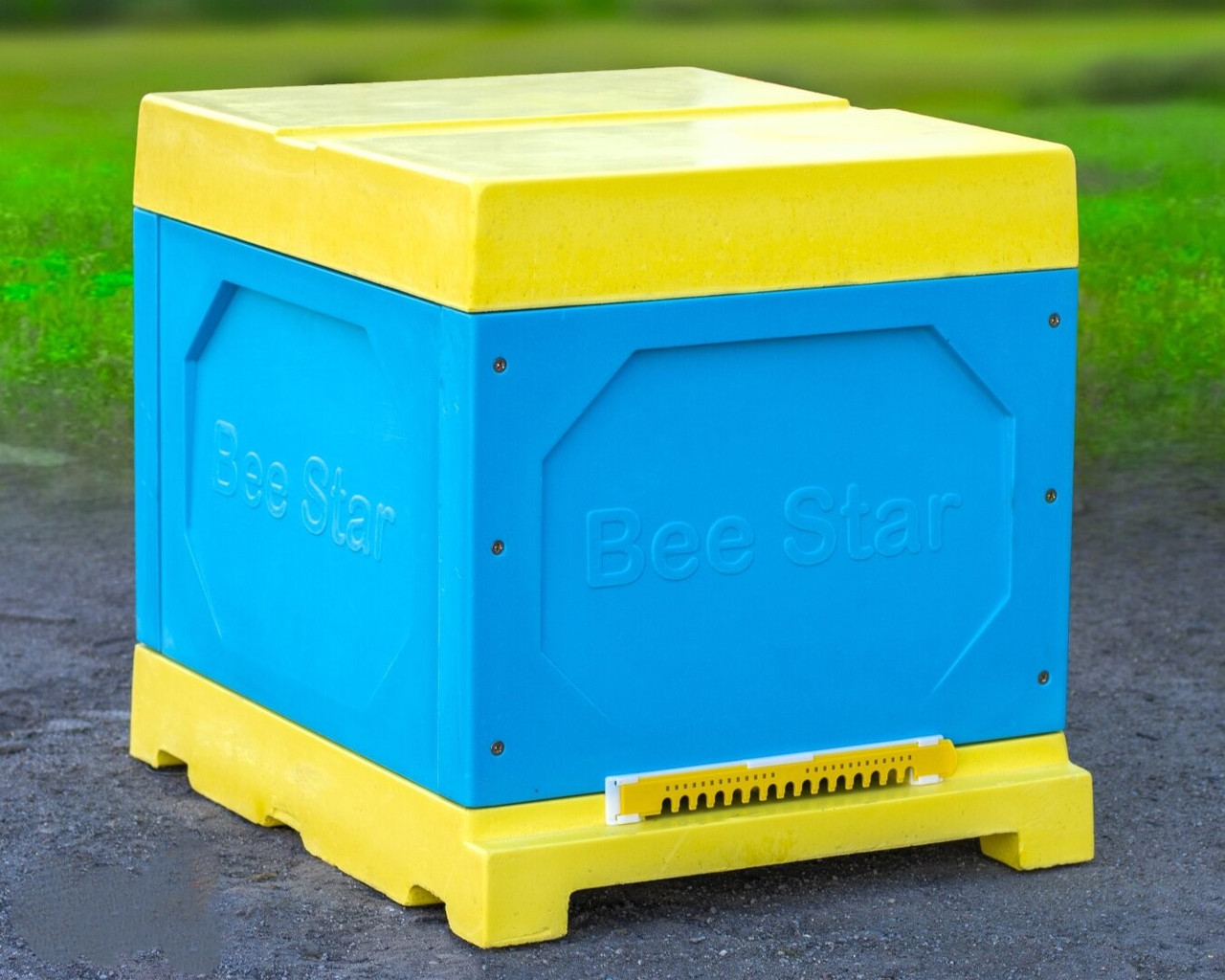 Вулик ППУ “BeeStar” (1 корпус Дадан 300 мм 10 рамок) – кольоровий, фото 1