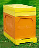 Вулик ППУ “BeeStar” (1 корпус Дадан 300 мм + годівниця на 6 рамок) – кольоровий, фото 4