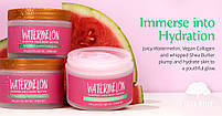 Крем батер для тіла Tree Hut Watermelon Whipped Body Butter, фото 7