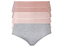 Жіночі хіпстери esmara®, 5 шт., розмір XL/XXL, колір сірий, пудра
