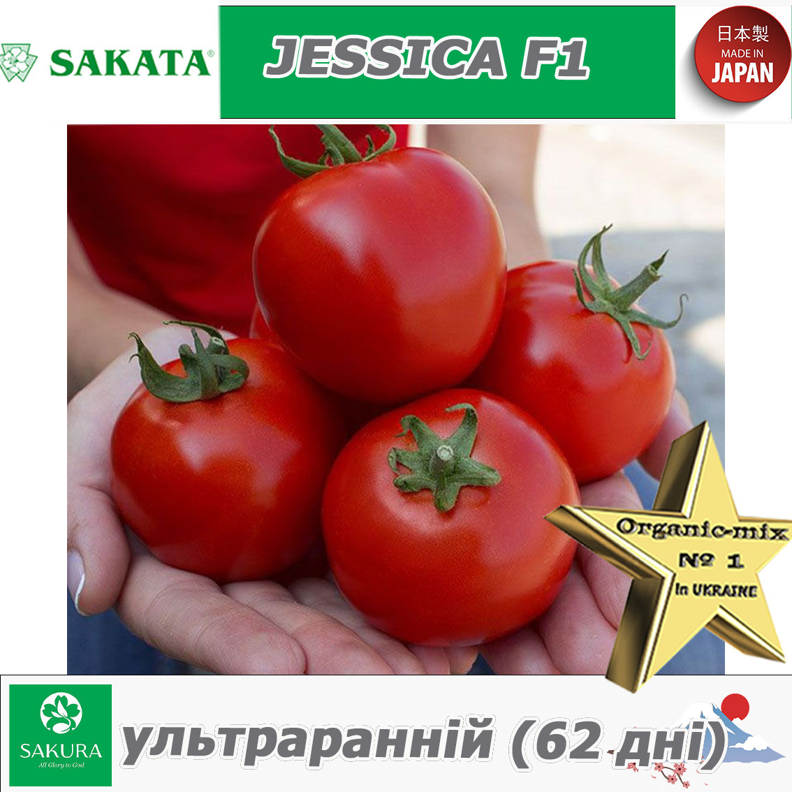 Томат ультраранній ДЖЕСІКА F1 / JESSICA F1 ТМ Sakata (Японія)
