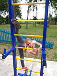 Універсальний вуличний тренажер SiverSport SL-204, фото 4