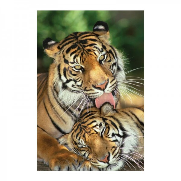 Постер "Mother's Love (Tigers)" 61 x 91,5 см