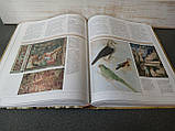 Велика ілюстрована енциклопедія історії мистецтв, фото 7