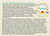 Набір для сортування та моторики Бджілки та квітка Learning resources, фото 9