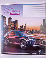 Зошит загальний 96 аркушів клітинка ТВ-6 Бриск