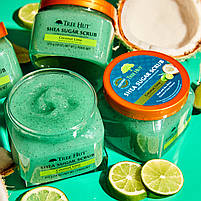 Скраб для тіла цукровий Tree Hut з олією ши та кокосом Coconut Lime Sugar для всіх типів шкіри, фото 6