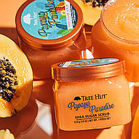 Скраб для тіла цукровий Tree Hut з папайя Papaya Paradise Sugar для всіх типів шкіри, фото 9