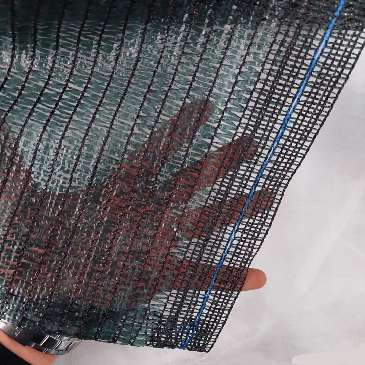 Сітка захисна "Shadow" 6х50м 60%. Чехія. Для захисту від сонця. УФ стабілізована., фото 1