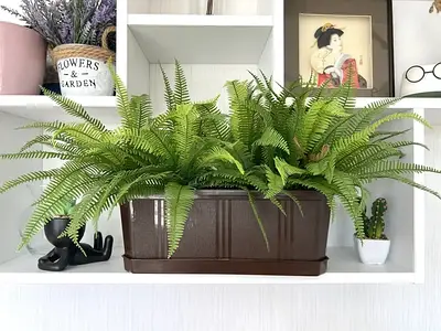 Штучні рослини для озеленення