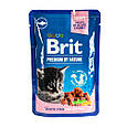 Вологий корм Brit Premium Cat pouch для кошенят, біла риба, 100 г, фото 3