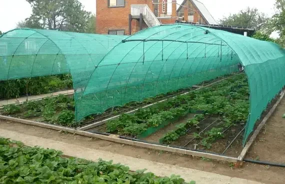 Затіняюча сітка "Агрокремінь" 4х50м 45%. Україна.
