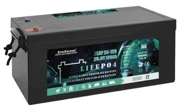 Акумуляторна батарея EVEREXCEED LiFePO4 24V 100Ah +4000 циклів, літій залізо фосфатний АКБ, фото 1