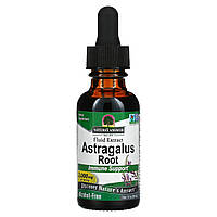 Екстракт астрагалу без спирту, 2000 мг, Astragalus Root, Nature's Answer, 30 мл