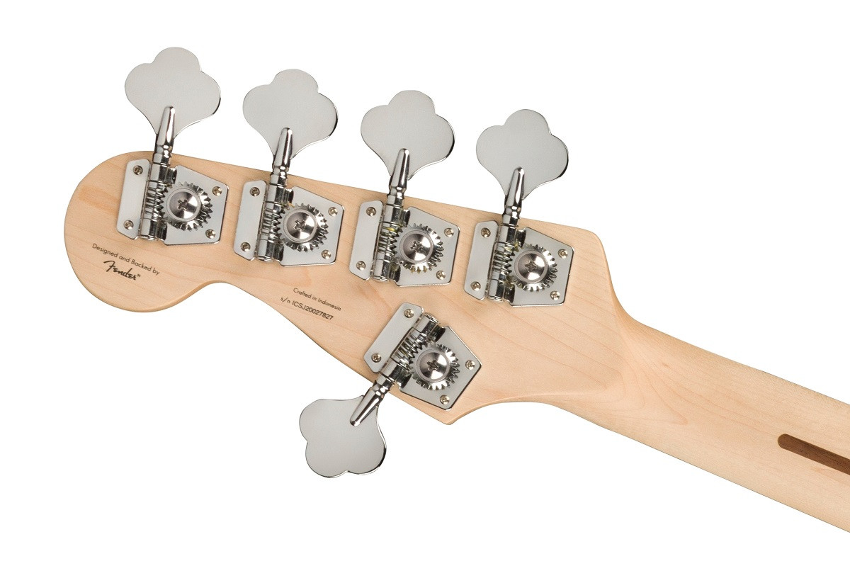 ᐉ Замовити 5-струнна бас-гітара SQUIER AFFINITY JAZZ BASS V LR 3