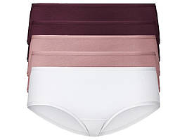 Жіночі хіпстери esmara®, 5 шт., розмір M/L, колір слива, фрез, білий