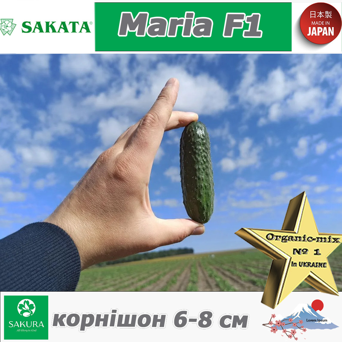 Огірок корнішон Марія F1 / Maria F1, Sakata (Японія), 1000 насінин