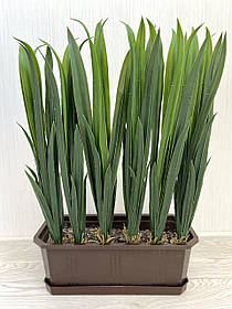 Штучна рослина — сансев'єрія (тещин язик гель, 56 см)