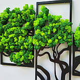 Картина Панно дерево життя з моху на стіну різні розміри, фото 6