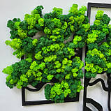 Картина Панно дерево життя з моху на стіну різні розміри, фото 4