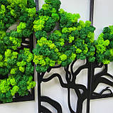 Картина Панно дерево життя з моху на стіну різні розміри, фото 9