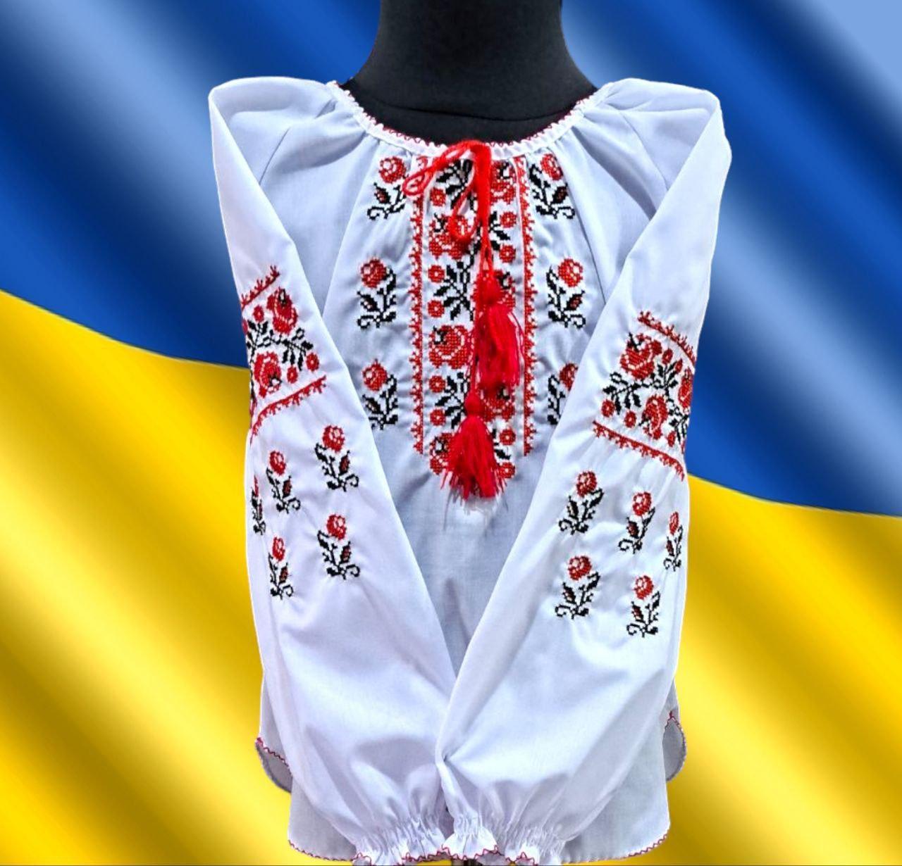 Вишиванка з довгим рукавом для дівчаток 3/6 років; Гурт, фото 1