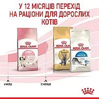 Сухий корм для кошенят Royal Canin Kitten свійський птах 400 г, фото 5