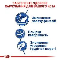 Сухий корм для котів які живуть у приміщенні Royal Canin Indoor свійський птах 4 кг, фото 5