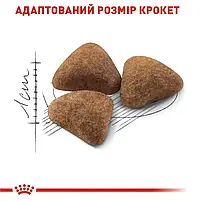 Сухий корм для котів які живуть у приміщенні Royal Canin Indoor свійський птах 4 кг, фото 6