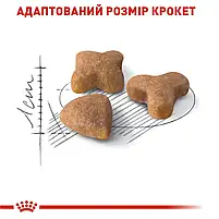 Сухий корм для вибагливих котів з чутливим травленням Royal Canin Sensible свійський птах 2 кг, фото 4