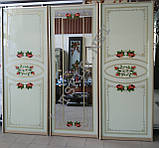 Розсувні двері для шафи купе, фото 2