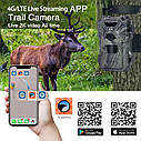 Фотоловичка для дикої природи та охорони Suntek 4G HC-880PRO. Tuya, фото 4