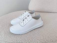 Сліпони, мокасини