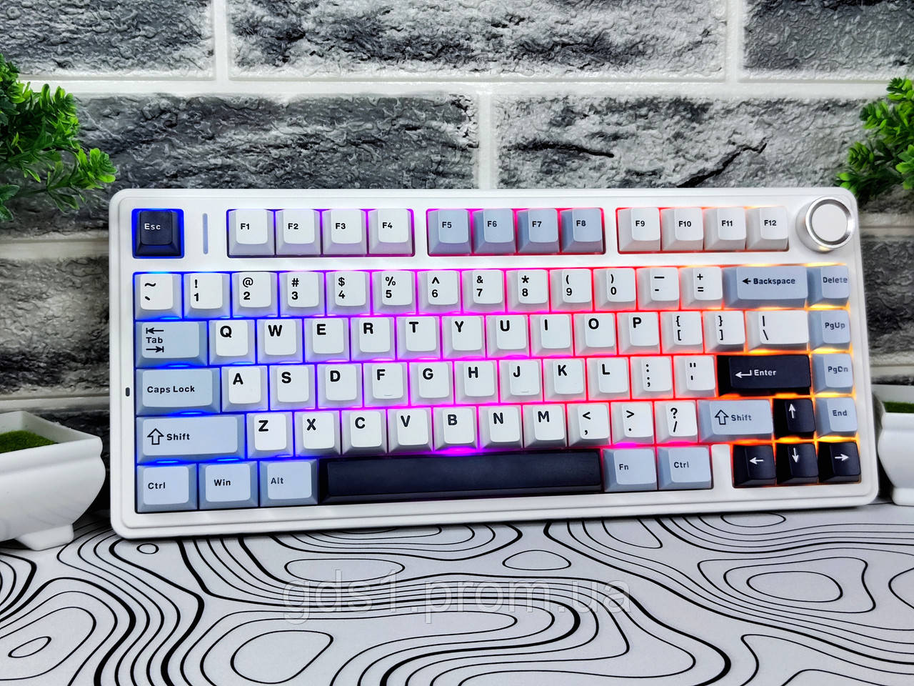 БЕСТСЕЛЕР AULA F75 White-Blue | ІГРОВА БЕЗПРОВІДНА МЕХАНІЧНА КЛАВІАТУРА | RGB | REAPER СВІТЧІ | 3 РЕЖИМИ - фото 1 - id-p2241067974