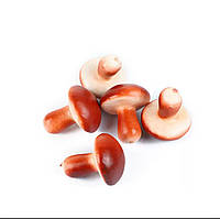 Декоративний гриб. Висота 38 мм. Діаметр 32 мм (шт)