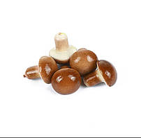 Декоративний гриб. Висота 30 мм. Діаметр 25 мм (шт)