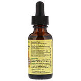 Оригінал! Трави ChildLife Рідка Ехінацея для Дітей з Апельсиновим Смаком, Echinacea, (CDL-10100) - Вища Якість!, фото 2