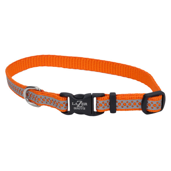 Coastal Lazer Brite Reflective Collar КОСТАЛ ЛАЗЕР БРАЙТ світловідбивний нашийник для собак, 1х20-30 см