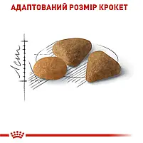 Сухий корм для вибагливих котів з чутливим травленням Royal Canin Savour Exigent свійський птах 2 кг, фото 6