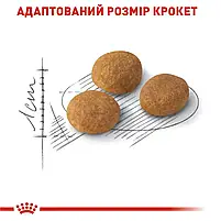 Сухий корм для вибагливих котів Royal Canin Exigent Aromatic свійський птах 2 кг, фото 7