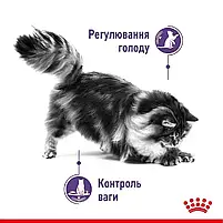 Сухий корм для стерилізованих котів схильних до випрошування корму Royal Canin Sterilised Appetite Control свійський птах 2 кг, фото 5
