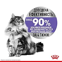 Сухий корм для стерилізованих котів схильних до випрошування корму Royal Canin Sterilised Appetite Control свійський птах 2 кг, фото 6