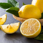 Як і коли садити саджанці лимона