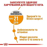 Сухий корм для котів Royal Canin Hair&Skin Care свійський птах 10 кг, фото 4