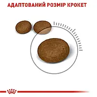 Сухий корм для котів Royal Canin Hair&Skin Care свійський птах 10 кг, фото 5