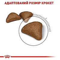 Сухий корм для виведення вовни у котів Royal Canin Hairball Care свійський птах 2 кг, фото 9