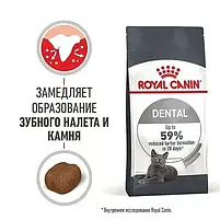 Сухий корм Royal Canin Dental Care для котів догляд за зубами 8 кг, фото 3