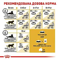 Сухий корм для дорослих котів породи мейн-кун Royal Canin Maine Coon Adult свійський птах 10 кг, фото 7